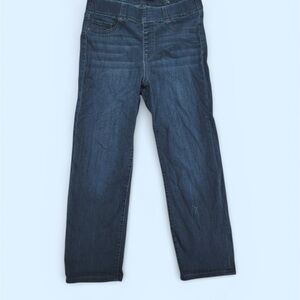 Liverpool Los Angeles Blue Denim Pull-on Jeans Sz 29/8